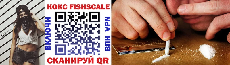 Cocaine FishScale  Купить  Новосокольники 
