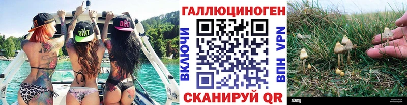 Галлюциногенные грибы Cubensis  Купить закладки  Новосокольники 